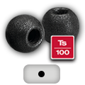 Ts-100